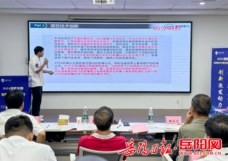 科技创新企业赋能——2024年“创客中国”岳阳县中小微企业创新创业大赛圆满举行(图3)