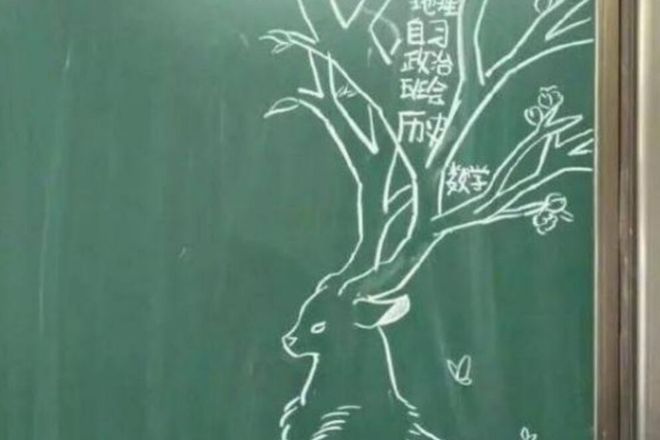 10后学生“手绘课程表”走红羡慕坏一众网友美术老师：出师了(图2)
