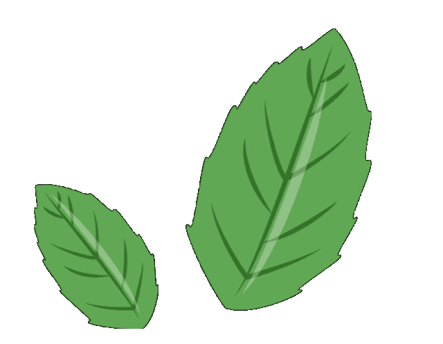 “您身边的美育课堂”2024年渝中区文化馆全民艺术普及秋季班招生了