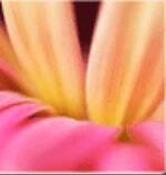 北京灵猫课堂(图3)