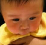 北京灵猫课堂(图5)