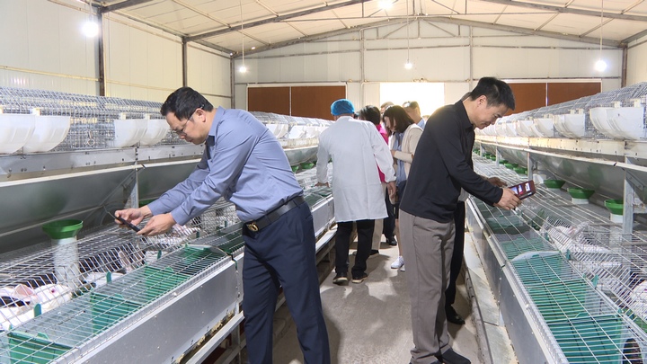 千里情相连携手绘篇章(图5)