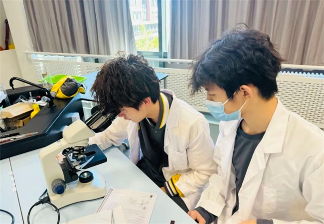 科创班选拔丨读懂朝阳凯文理工科最强大脑的培养之道(图3)