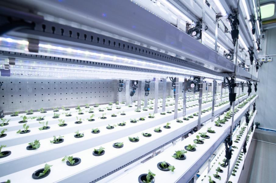 拼多多发布Q3财报陈磊：继续重仓“新质供给”“电商西进”生态建设(图2)