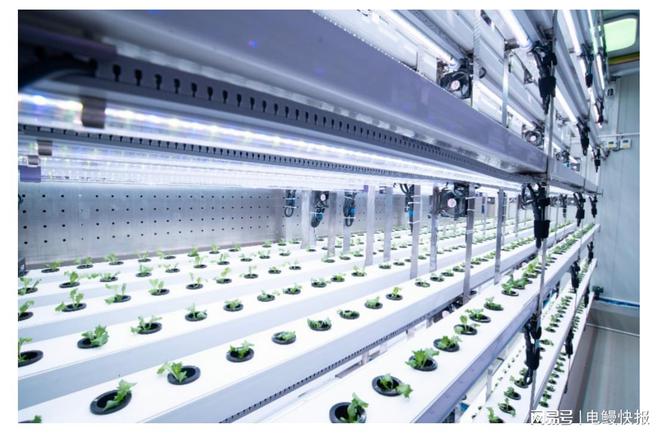 拼多多发布Q3财报全面加速高质量发展继续加码农研科技(图2)