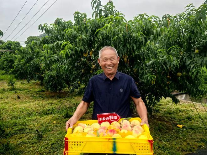 主动放慢脚步拼多多押注长期价值(图4)