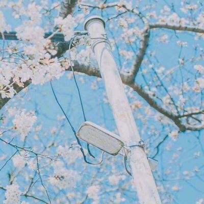 两组免费三中三公开(图2)