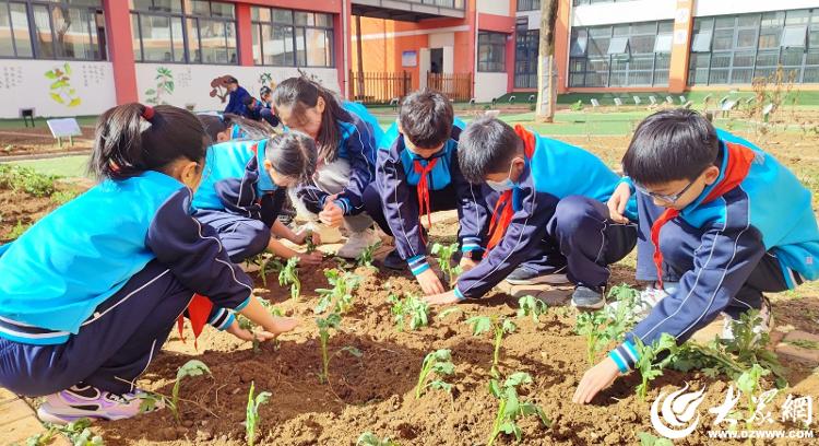 临沂三河口小学：“五育融合”传承中医文化(图2)