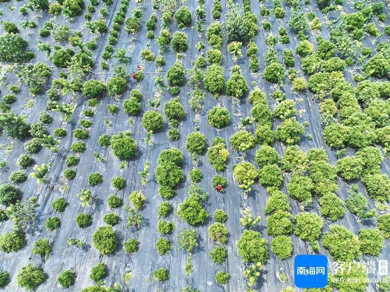 2024精彩又一年!海南教育新变化、新成就(图4)