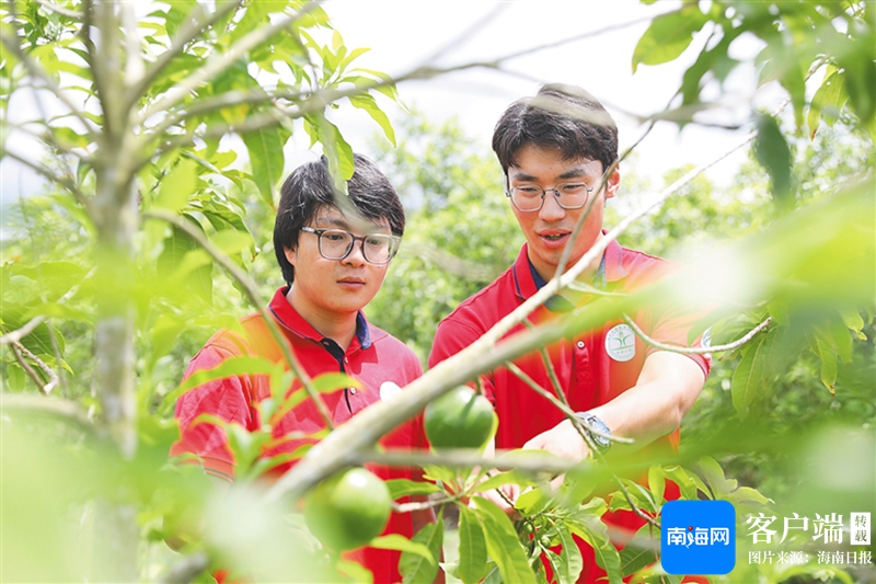 2024精彩又一年!海南教育新变化、新成就(图5)