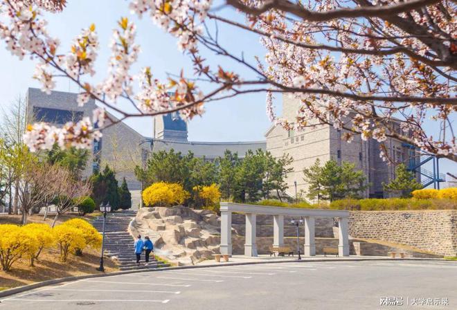 大连东软信息学院是多少？这一领域民办高校第一实力强悍！(图2)