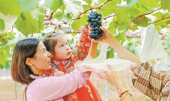 体旅融合！UTMB世界系列赛点燃同安北部山区新活力