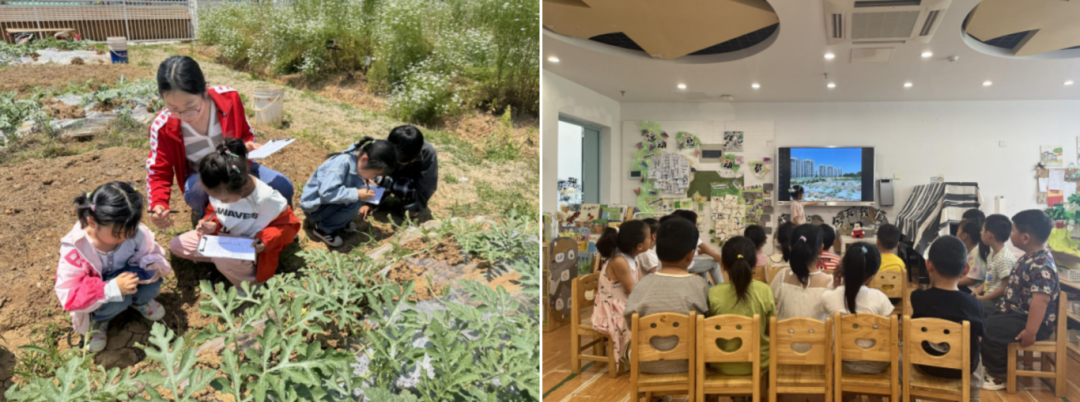 “含绿量”极高！南京这5所学校获国际认证！(图1)