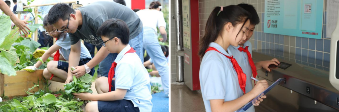 “含绿量”极高！南京这5所学校获国际认证！(图5)