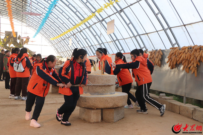 肥城市安驾庄镇：执“五变”五色笔绘就乡村振兴七彩卷(图4)