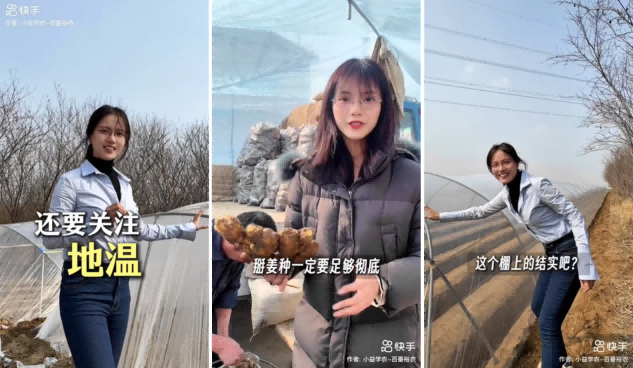 当手机成为“新农具”“蔬菜之乡”的新农人在快手点亮云上课堂(图1)
