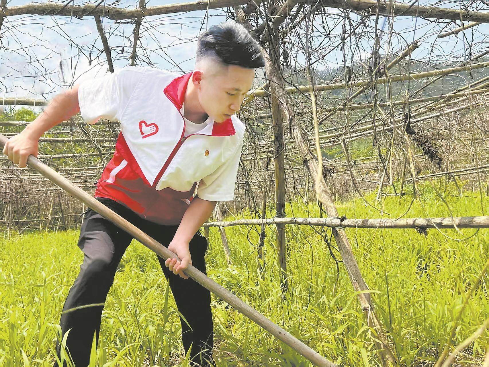 青春在“百千万工程”中绽放绚丽之花(图7)