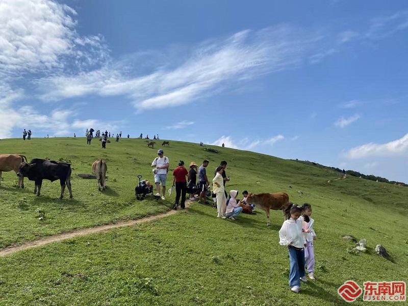 【福岸】台胞吴正隆：以“台味”匠心深耕福建乡村振兴沃土(图3)