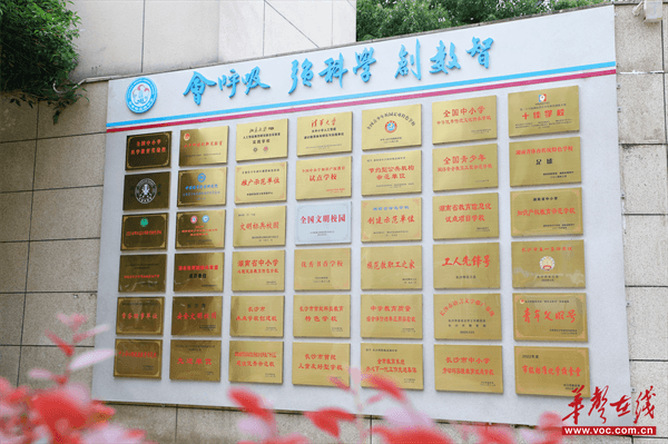 从观鸟护鸟到国际金奖——解码长沙这所中学的科创教育密码(图7)