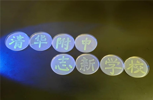 海淀中考家庭必看！清华附中志新学校近两年为何备受青睐？(图8)