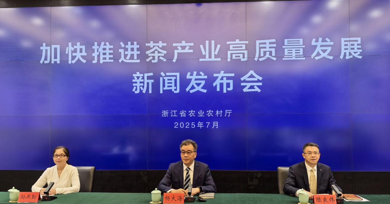 “一片树叶”的千亿进阶！浙江茶产业高质量发展再描蓝图