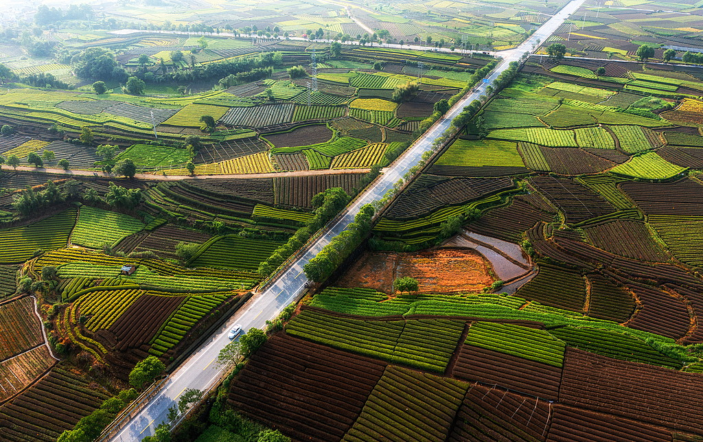 “一片树叶”的千亿进阶！浙江茶产业高质量发展再描蓝图(图5)