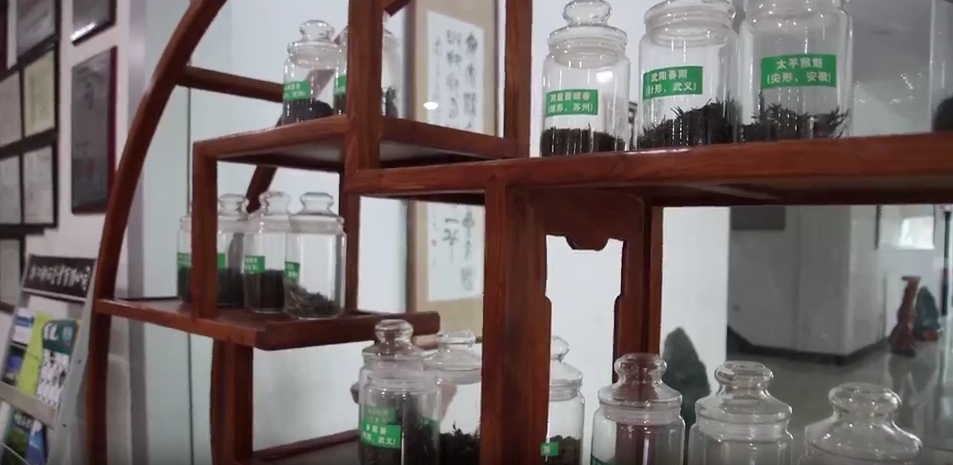 “一片树叶”的千亿进阶！浙江茶产业高质量发展再描蓝图(图7)