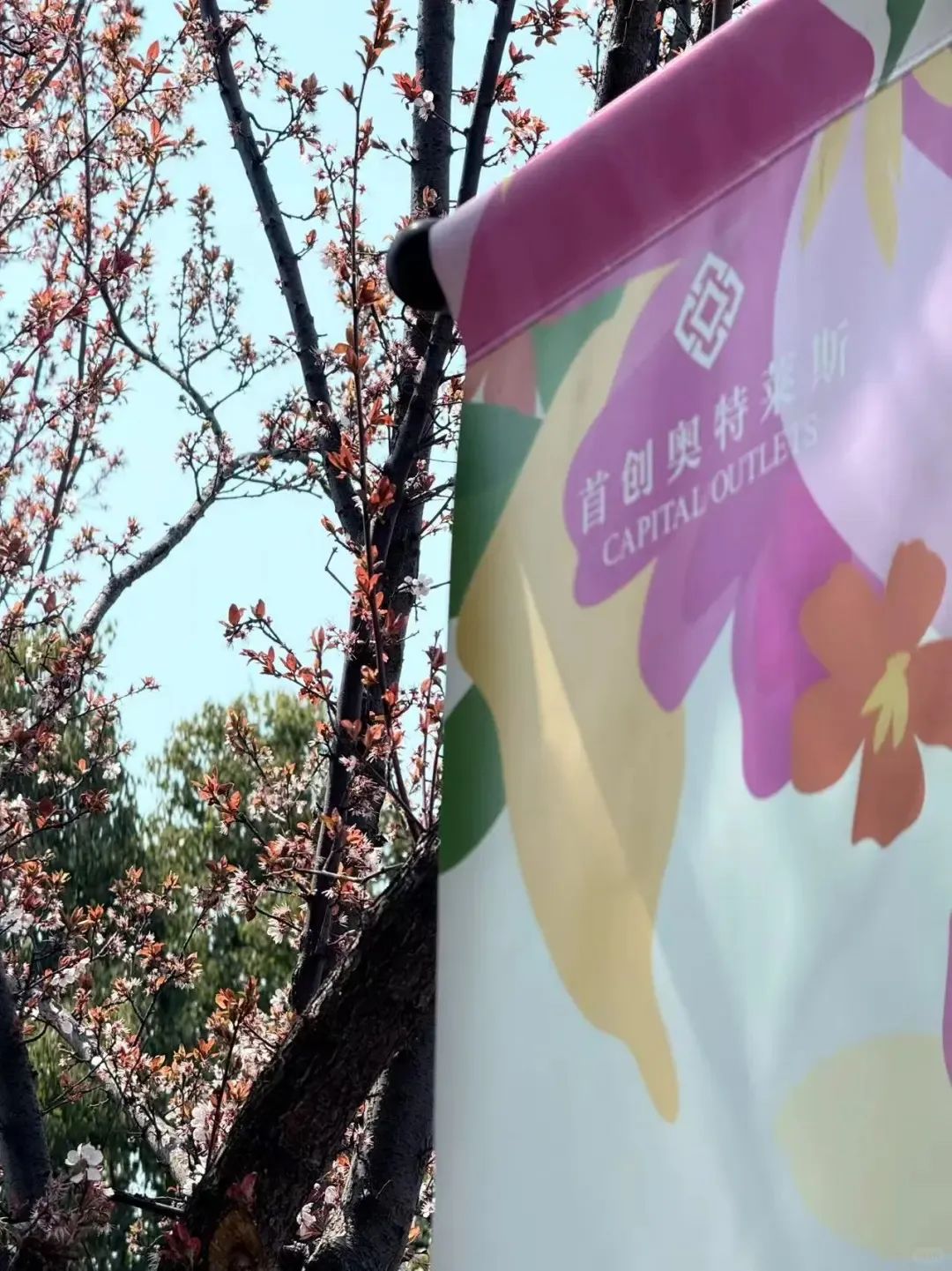 上海佛罗伦萨小镇三期来了；京东奥莱七店齐开；昆山首创奥莱30+品牌卖爆OutletsWeekly