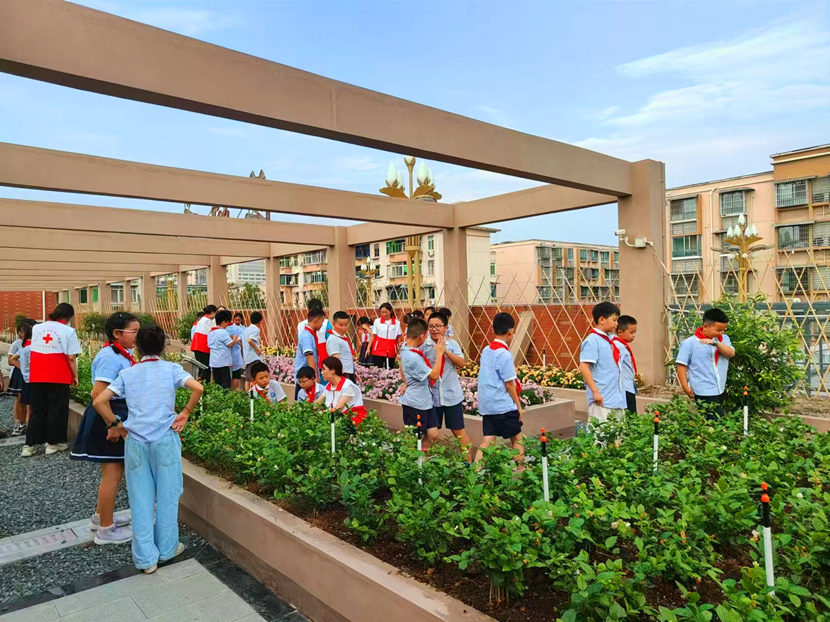 红马甲与白大褂的交响：德阳这支医疗志愿服务队书写公益新篇章(图2)