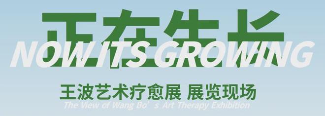 “正在生长——王波艺术疗愈展”开幕暨学术交流会(图8)