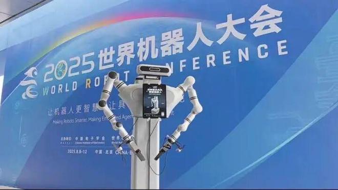 人形机器人的未来在哪里？海外归来的她有“答案”！(图3)