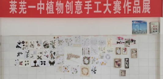 济南市莱芜第一中学：党建引领聚合力学科融合育新人(图8)