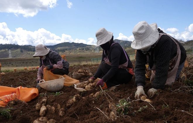 宁蒗所需杨浦所能！山海携手绘就乡村振兴新画卷