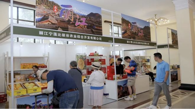 宁蒗所需杨浦所能！山海携手绘就乡村振兴新画卷(图3)