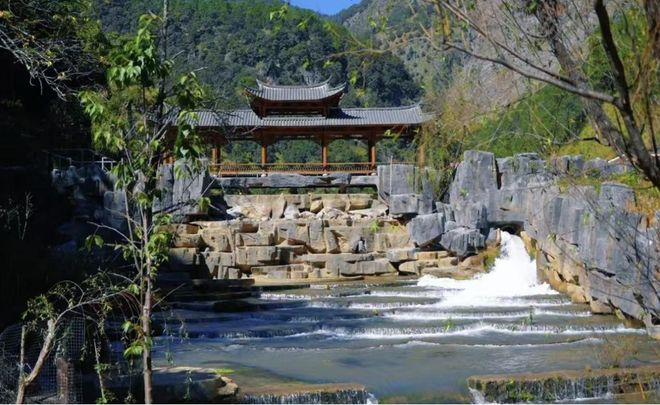 宁蒗所需杨浦所能！山海携手绘就乡村振兴新画卷(图5)