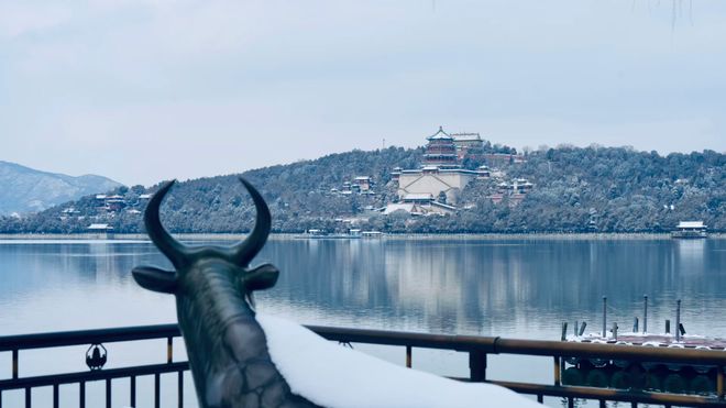 2025北京旅行社推荐红黑榜揭晓！这家0投诉老牌社凭什么断层第一(图4)