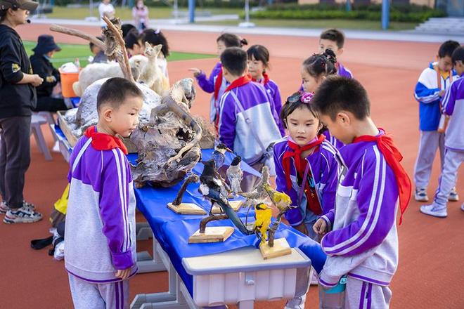 弋江春水向“新”流丨科学教育的“加法题”如何答？(图3)