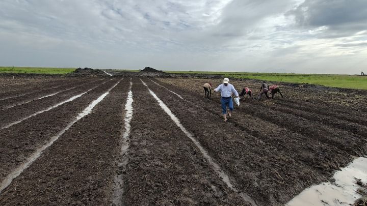 外贸万亿之城金华空气中都飘着“订单味道”(图12)