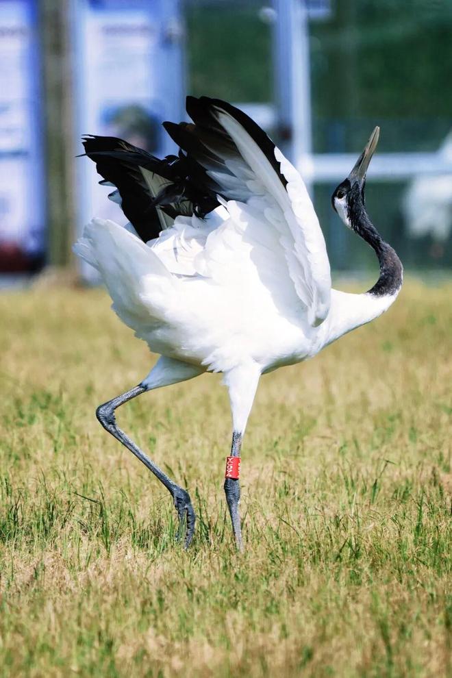 无锡春假福利！第一波！16岁以下免票(图10)