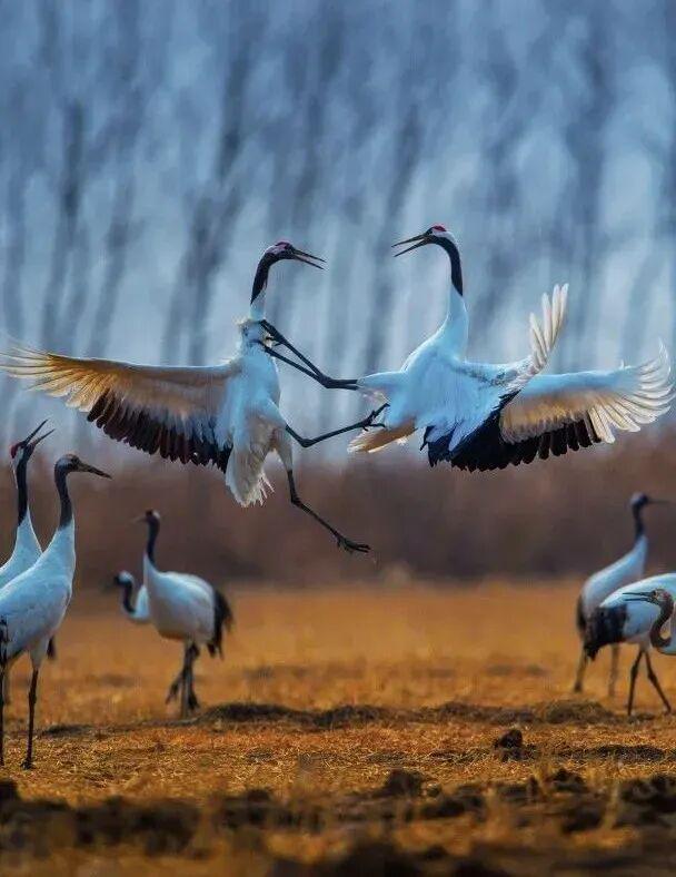 无锡春假福利！第一波！16岁以下免票(图7)