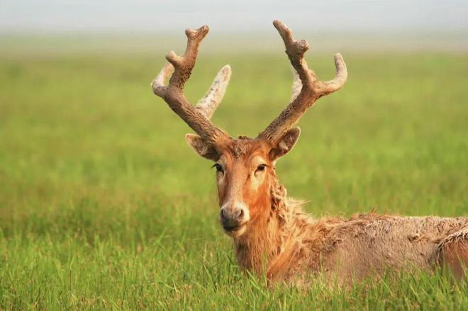 无锡春假福利！第一波！16岁以下免票(图6)