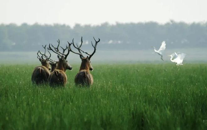 无锡春假福利！第一波！16岁以下免票(图11)